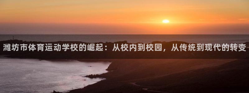 yy易游官方正版app开户:潍坊市体育运动学校的崛起:从校内